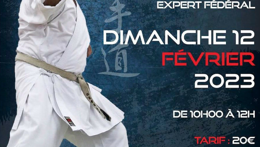Stage de Karaté du 12 Février 2023
