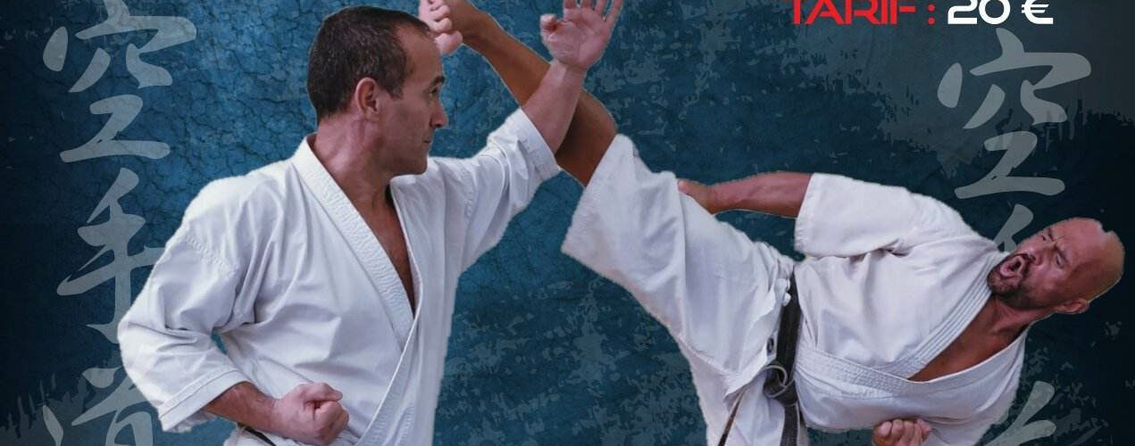 Stage de Karaté à Tourville La Rivière le 4 mars 2023