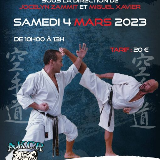 Stage de Karaté à Tourville La Rivière le 4 mars 2023